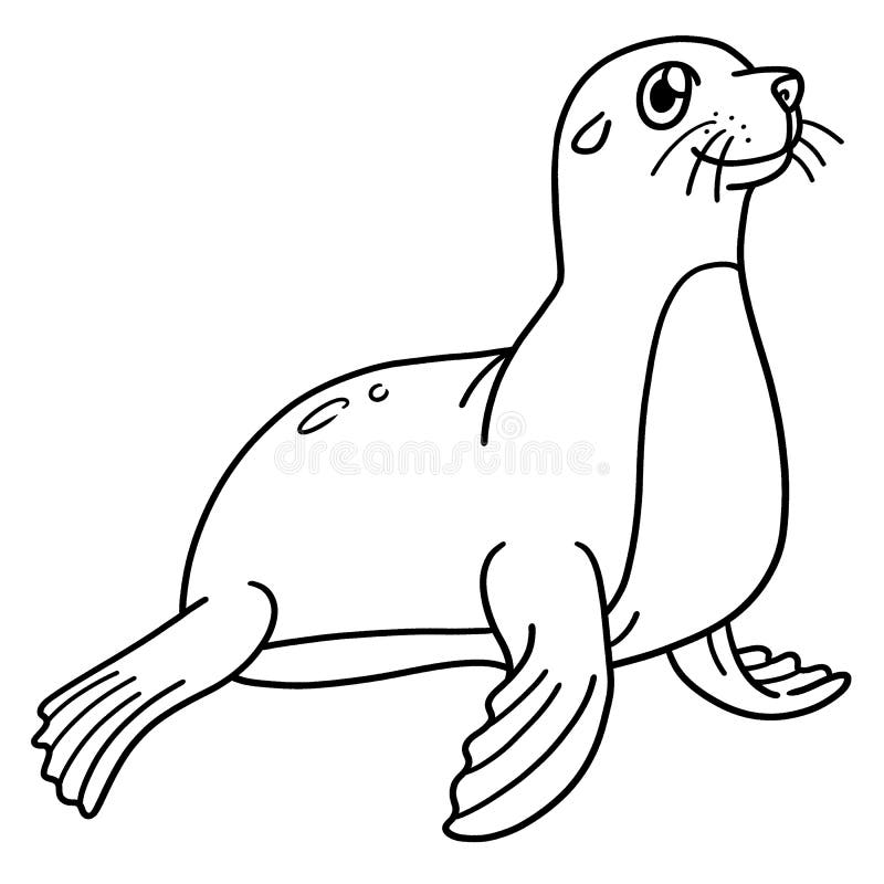 Seal coloring stock illustrations â seal coloring stock illustrations vectors clipart