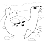 Seals coloring pages free coloring pages