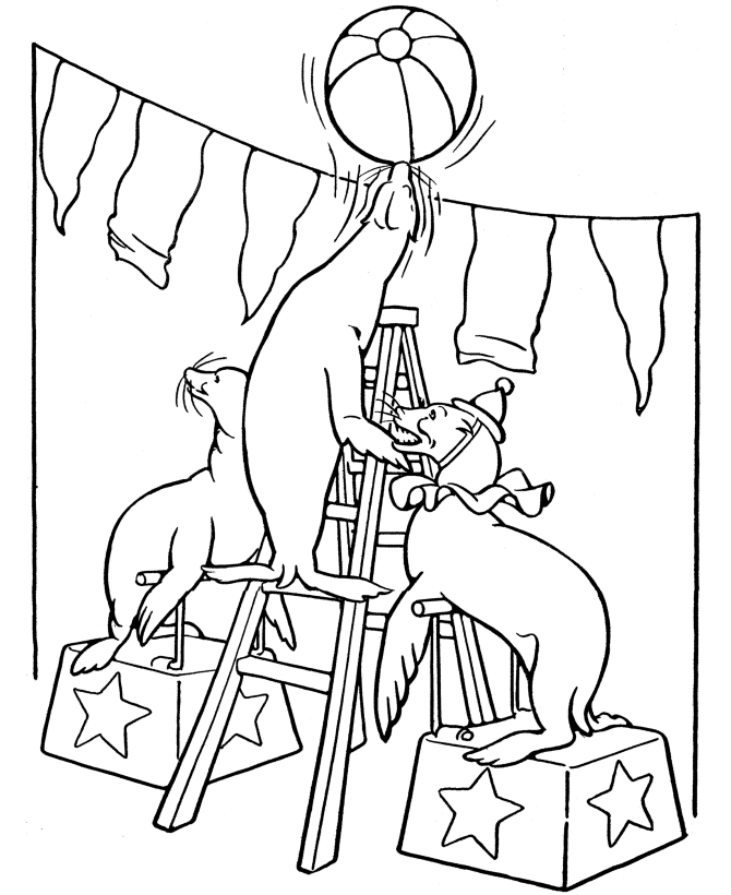 Seal coloring pages