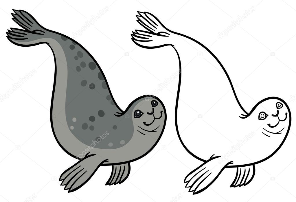 Outline seal and grey seal stock vector by annasuchkova