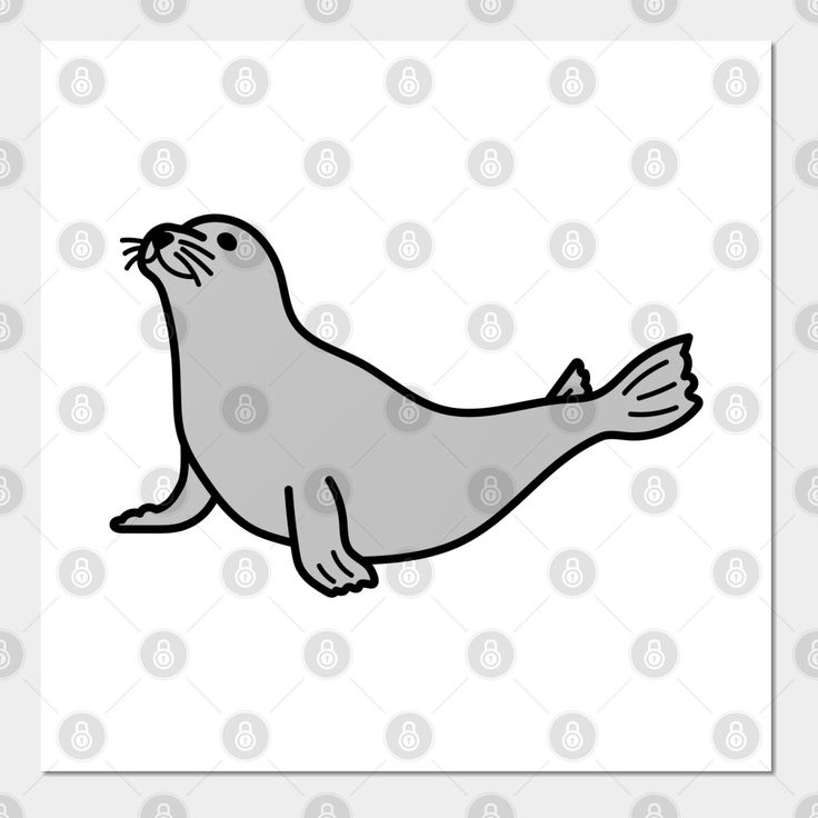 Playful gray seal wall art seal illustration