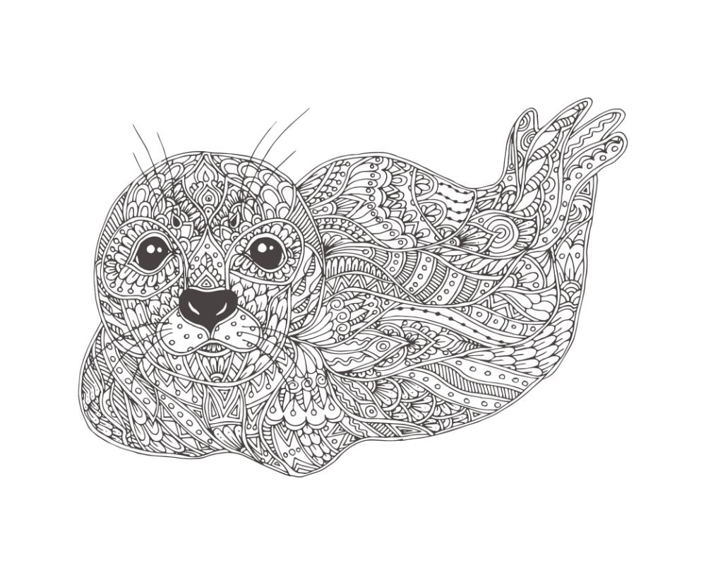 Free seal coloring pages for download printable pdf