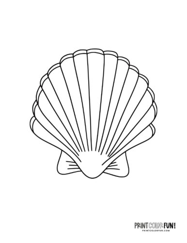 Sea shells coloring pages clip art at