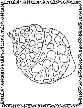 Seashell coloring book seashell clipart