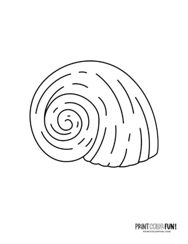 Sea shells coloring pages clip art at