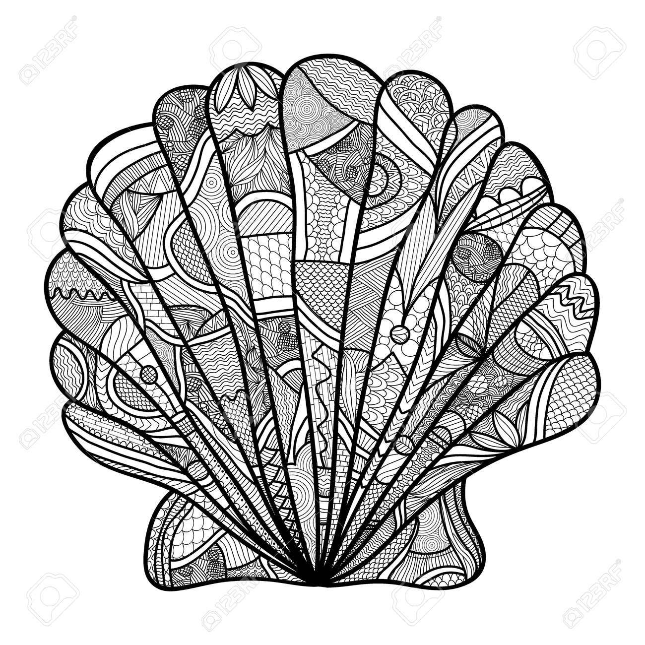Seashell hand drawn shell
