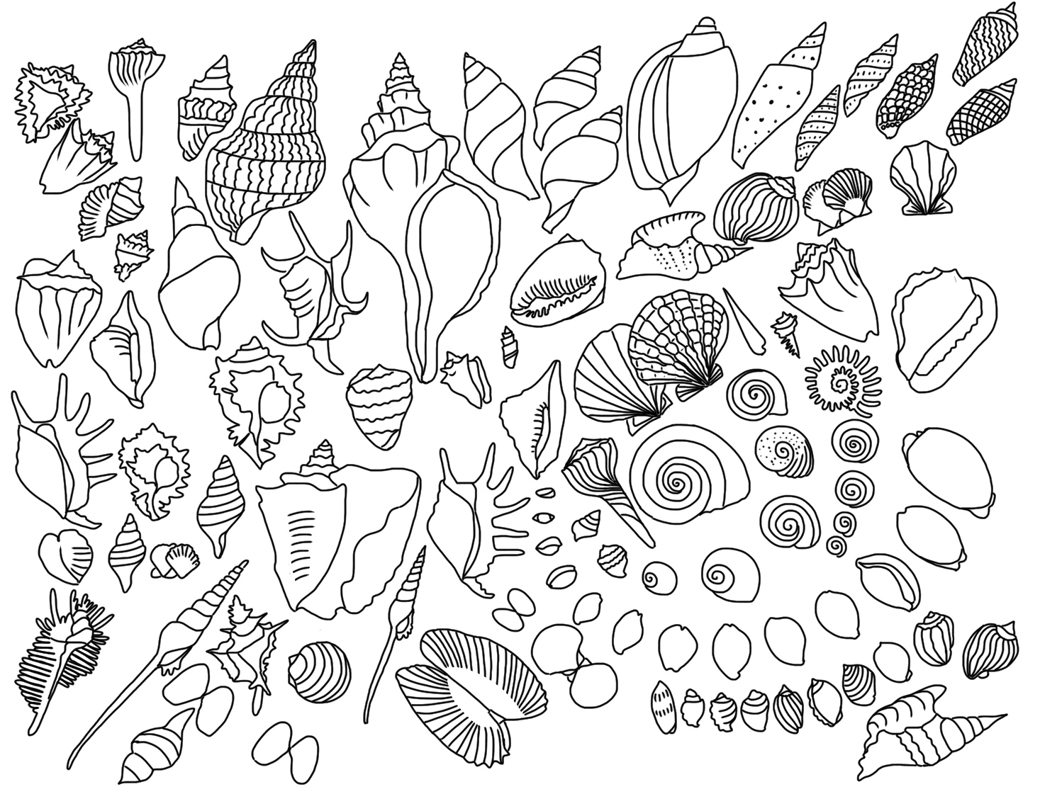 Coloring pages