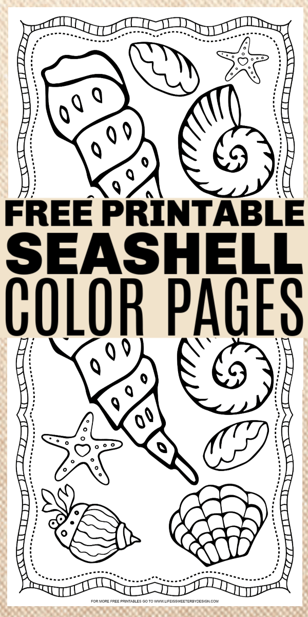 Seashell coloring pages