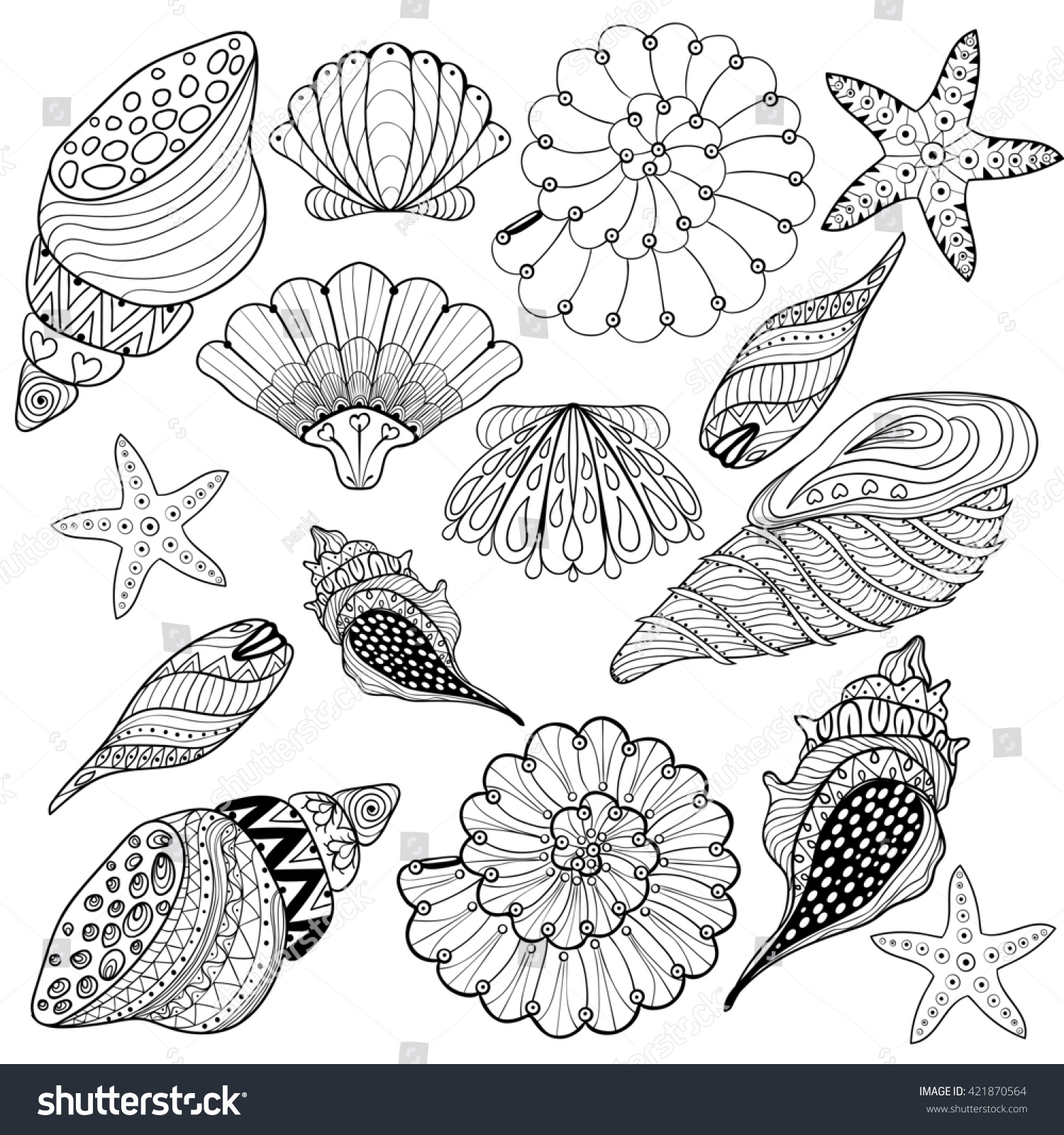 Zentangle seashell adult anti stress coloring stock illustration