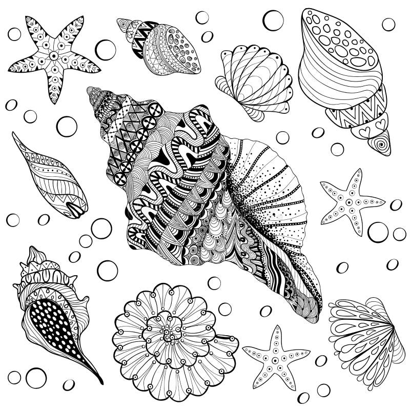 Vector set shells zentangle seeshell for adult anti stress colo stock vector