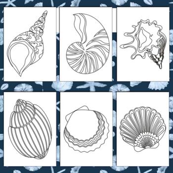 Seashells oysters coloring pages printable coloring sheets x