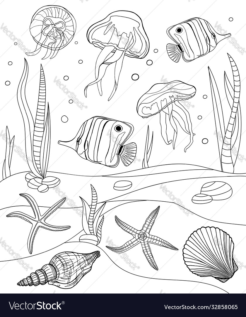 Coloring pages tropical fish seashell jellyfish vector image