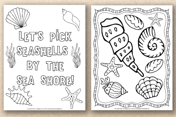 Seashell coloring pages