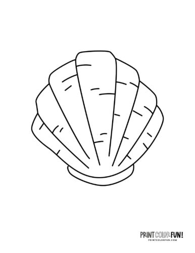 Sea shells coloring pages clip art at