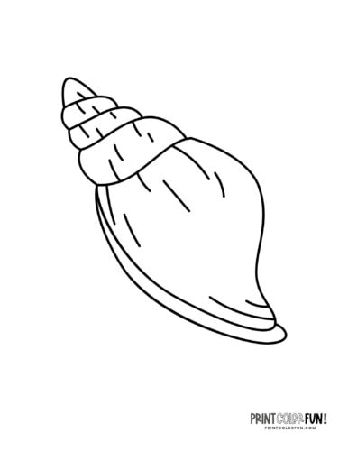 Sea shells coloring pages clip art at