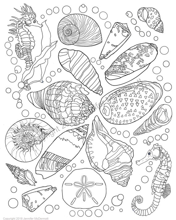 Seashell coloring pages