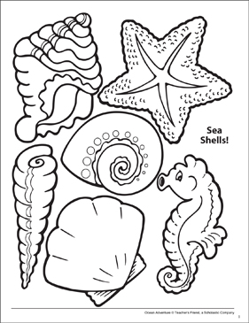 Sea shells ocean adventure coloring page printable coloring pages