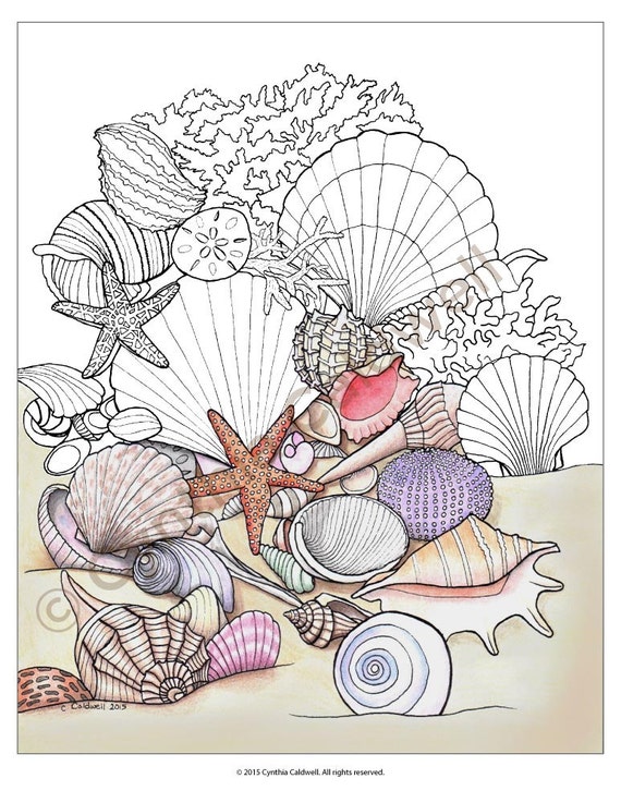 Seashells coloring page instant download