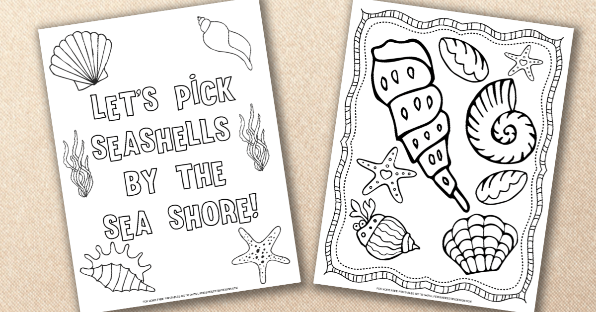 Seashell coloring pages