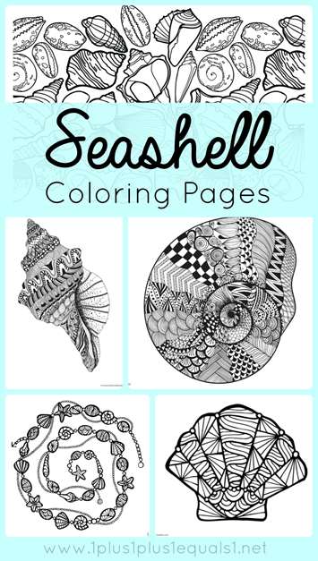 Seashell coloring pages