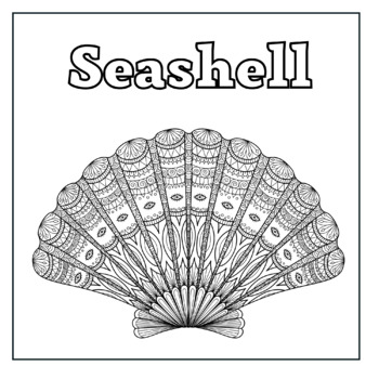 Seashell coloring page for all ages by contentcaptain tpt