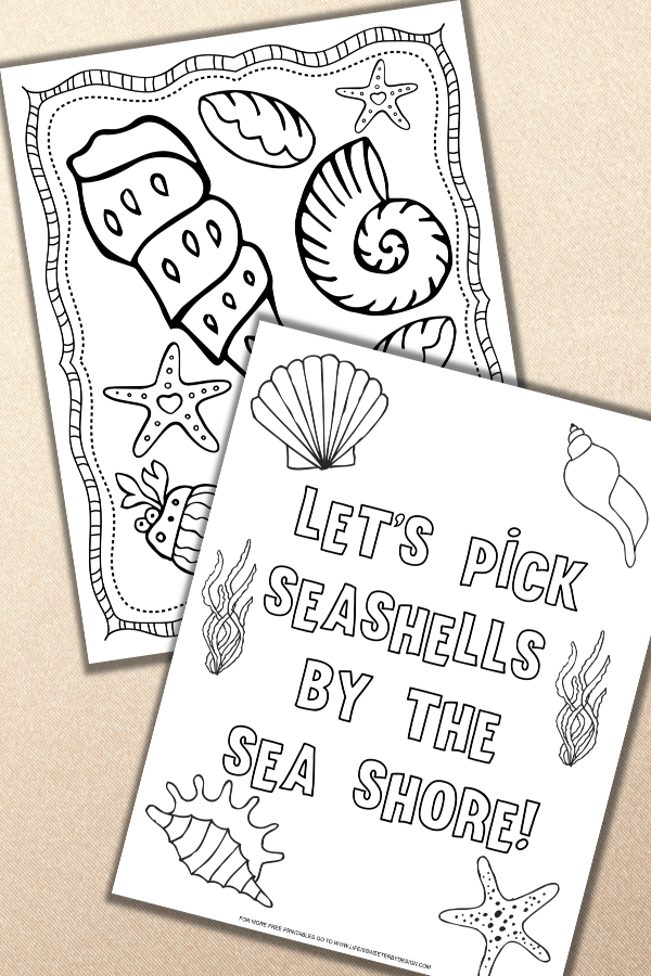 Seashell coloring pages