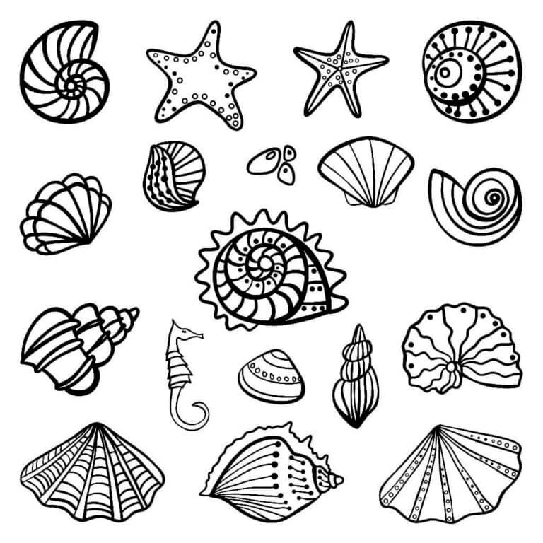 Shells starfish and seahorses coloring page