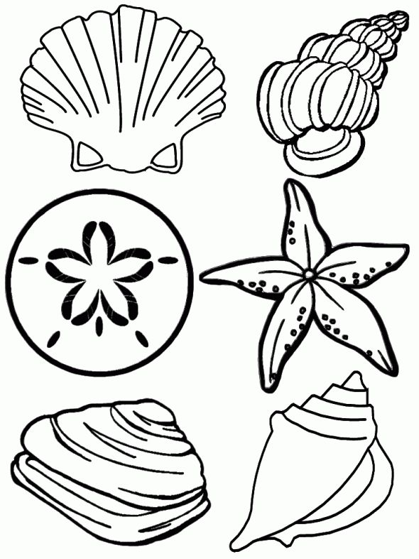 Under the sea coloring pages summer coloring pages beach coloring pages coloring pages