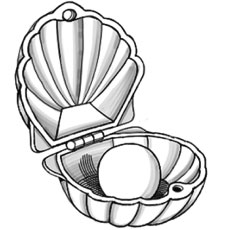 Top free printable shell coloring pages online