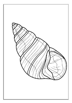 Create your own seashell masterpieces with our printable coloring collection