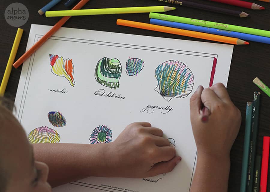 Sea shell coloring printable for kids alpha mom