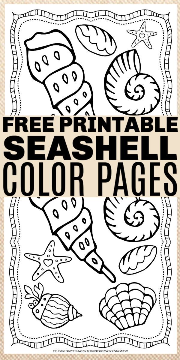 Summer fun for kids free printable seashell coloring pages