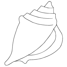 Top free printable shell coloring pages online