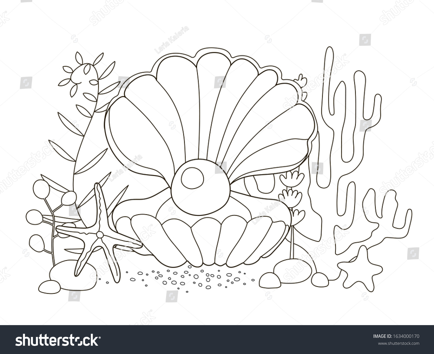 Shells coloring page images stock photos d objects vectors