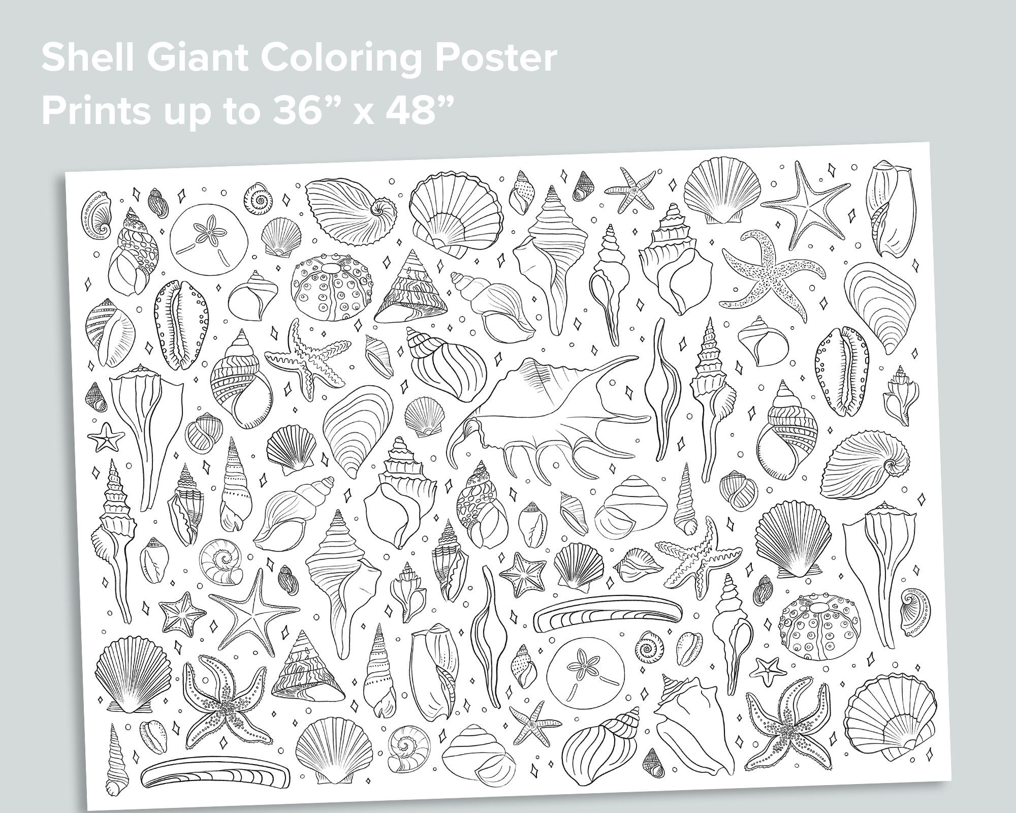 Seashell giant coloring poster homeschool printables black and white large coloring pages ocean preschool activity shells