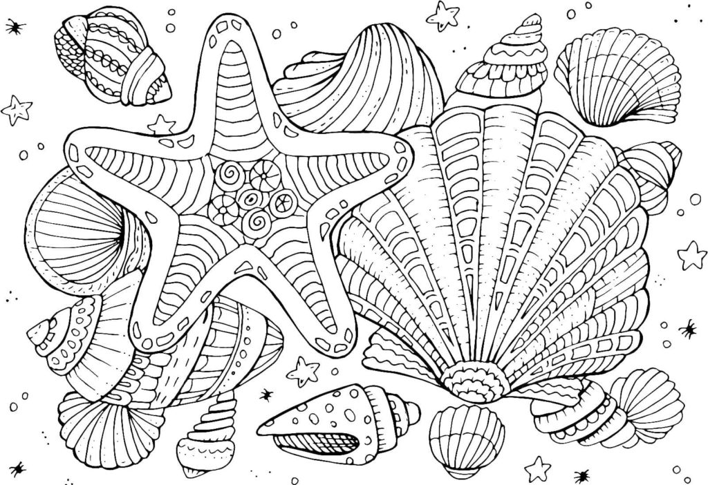 Shell coloring pages free printable coloring pages