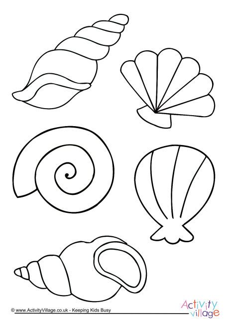 Shell colouring page summer coloring pages sea crafts crafts