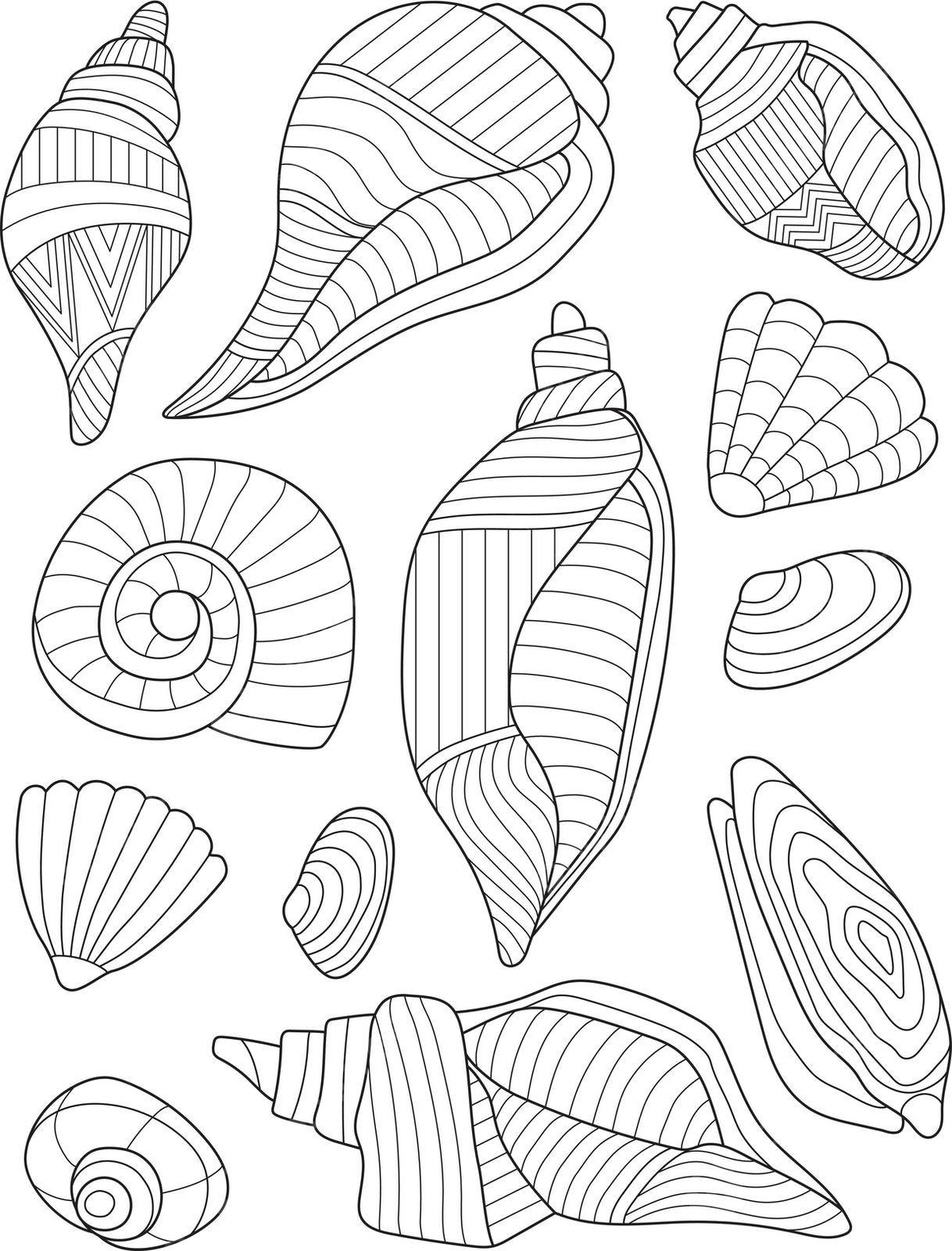 Detailed seashell coloring page with rock crystals underwater drawing water vector wing drawing seashell drawing water drawing png and vector with transparent background for free download