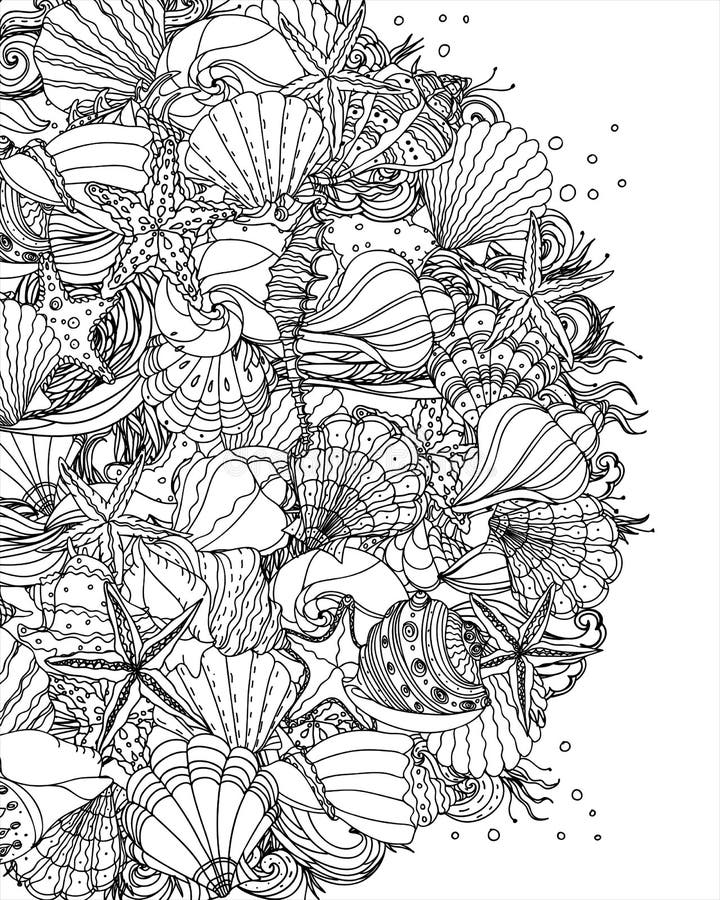 Seashell coloring stock illustrations â seashell coloring stock illustrations vectors clipart