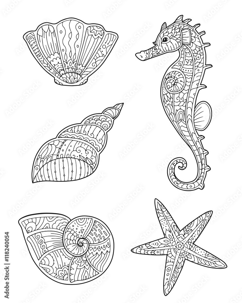 Adult coloring page with seashells seahorse and starfish in zentangle style doodle hand drawn sketch of sea animals decorative element for t
