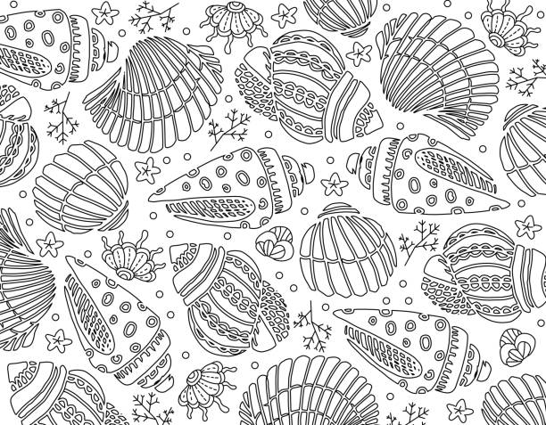 Mandala with seashells stock illustrations royalty