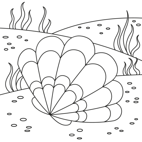 Shell coloring page free printable coloring pages
