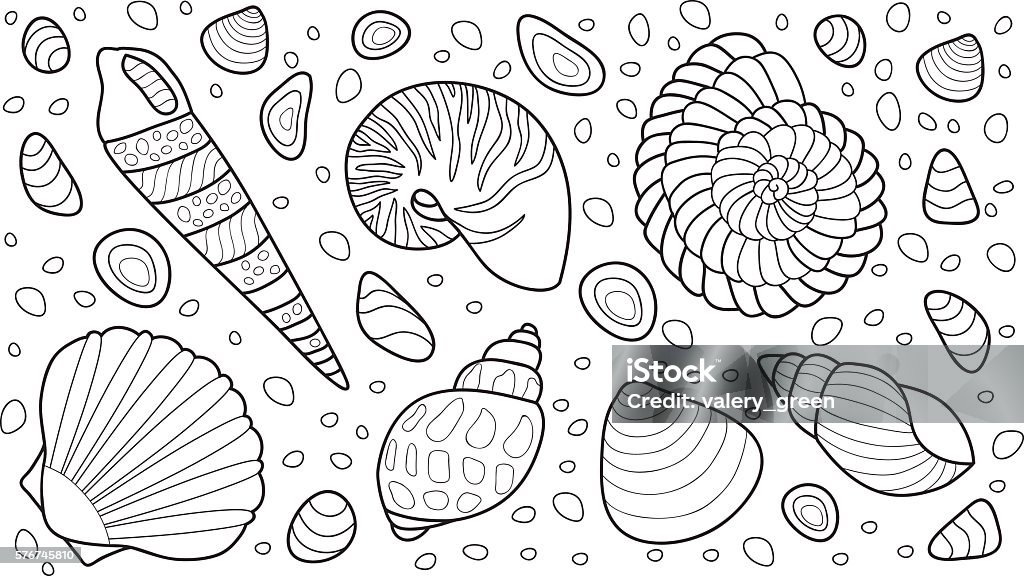 Shells vector illustration for adult coloring book stock illustration
