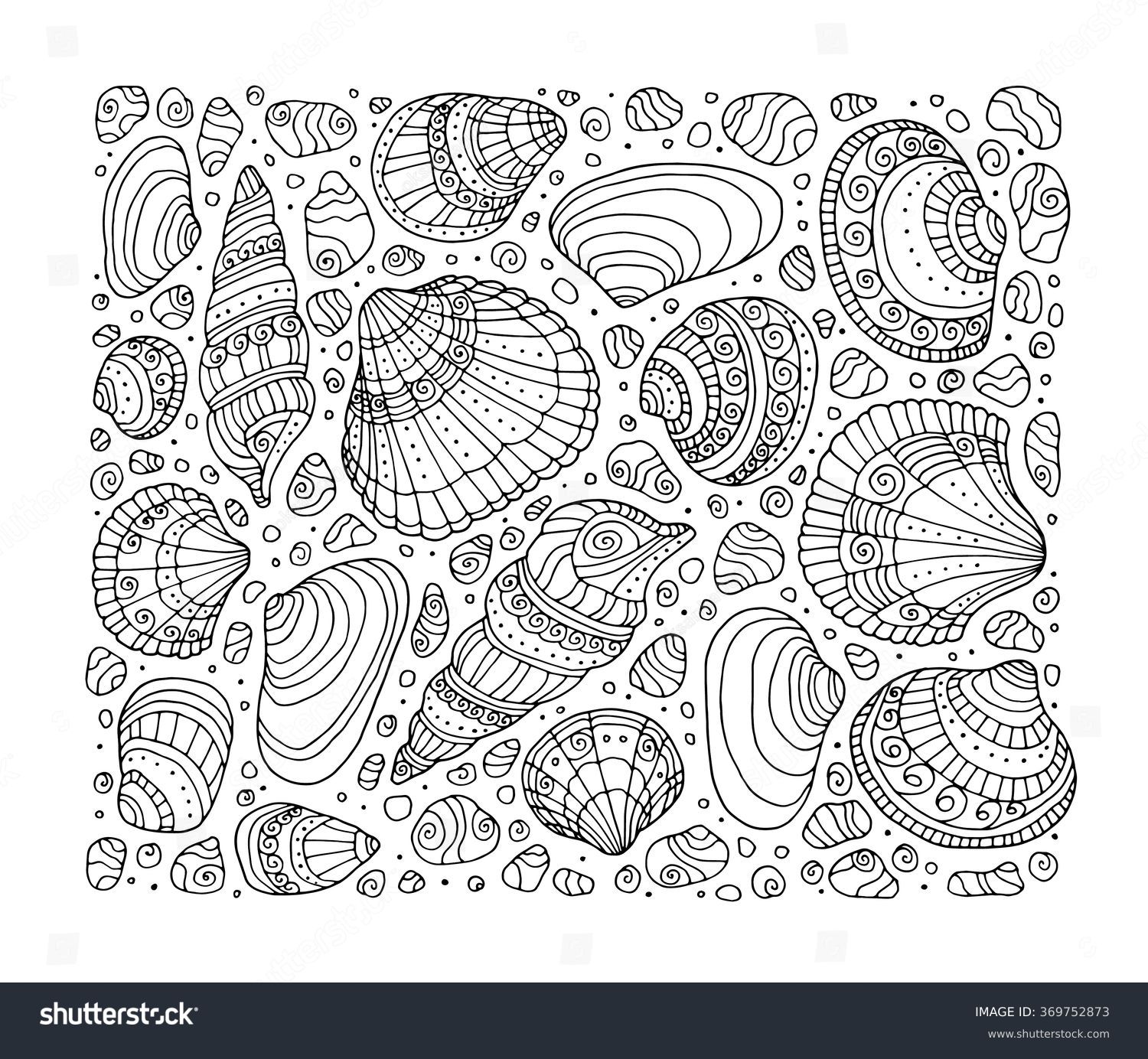 Shell coloring book images stock photos d objects vectors