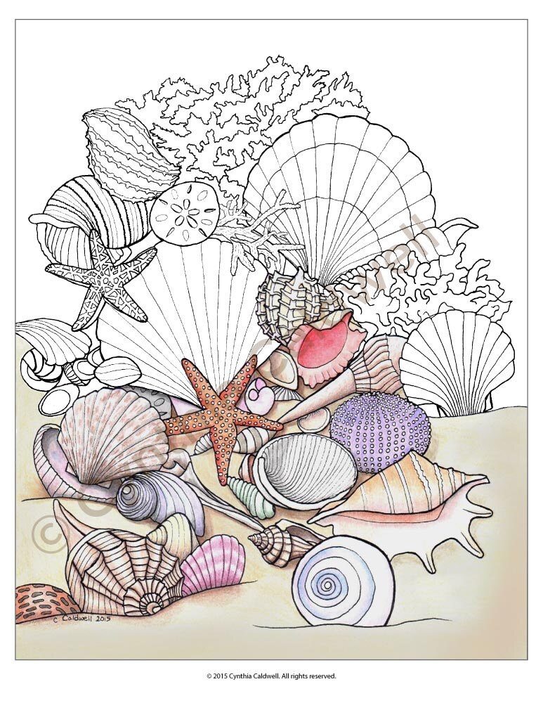 Seashells coloring page instant download download now