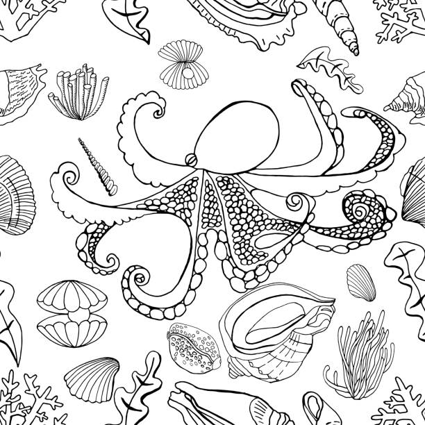 Seashell coloring pages stock illustrations royalty