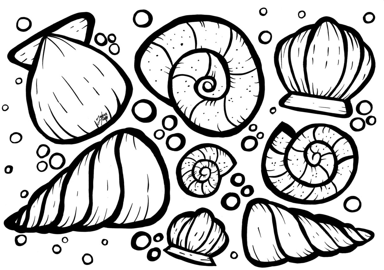 Dive into creativity with seashell coloring pages