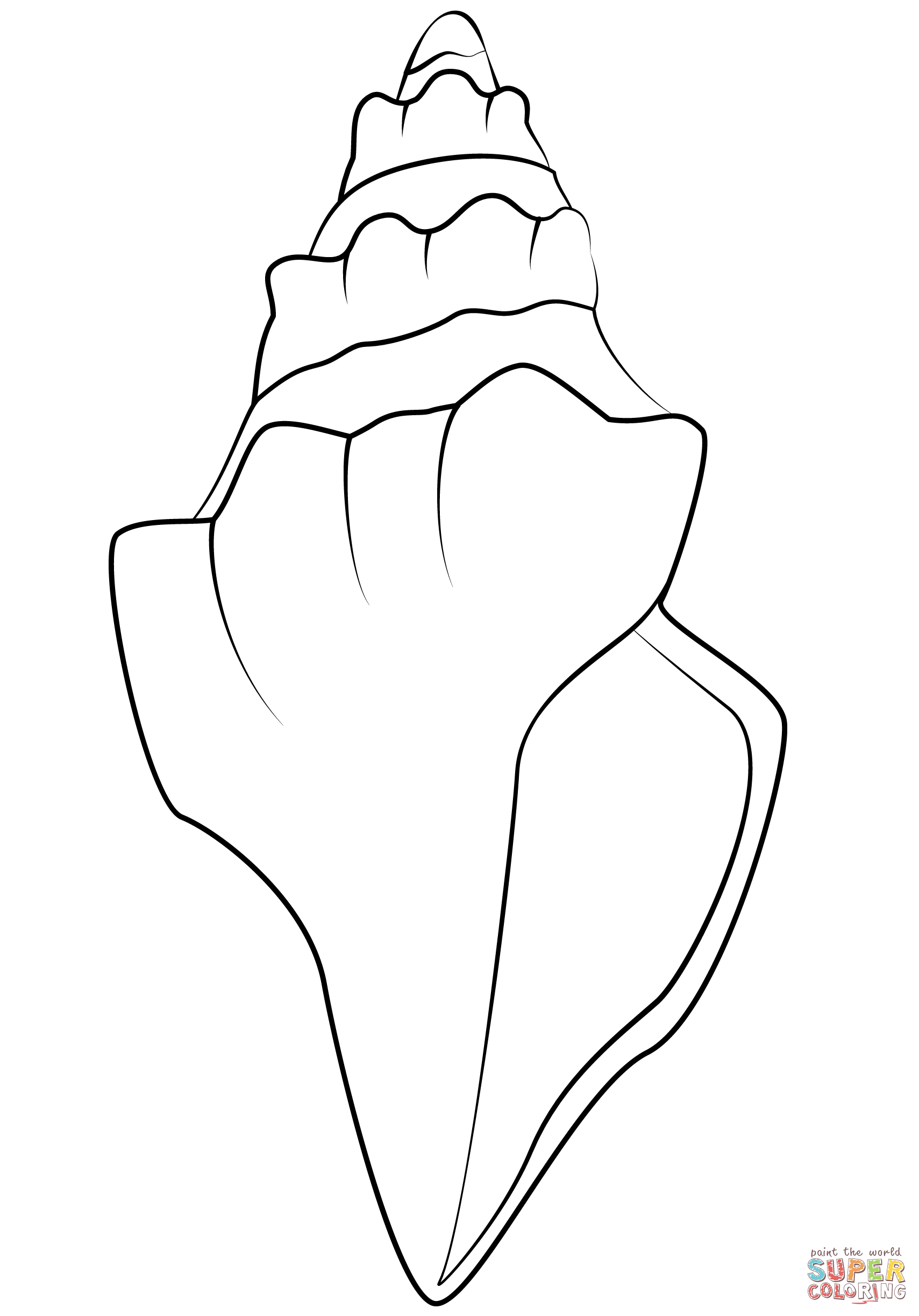 Seashell coloring page free printable coloring pages