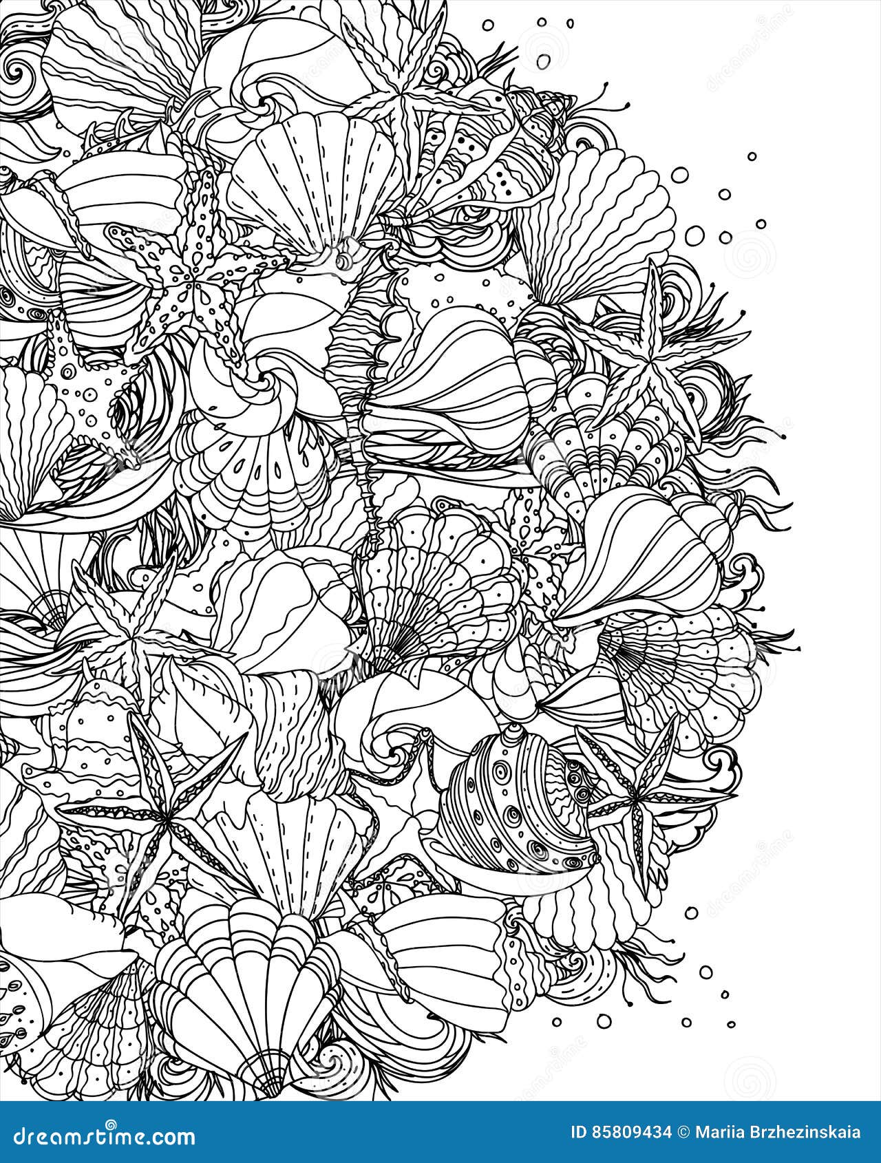 Seashell pattern art background stock vector