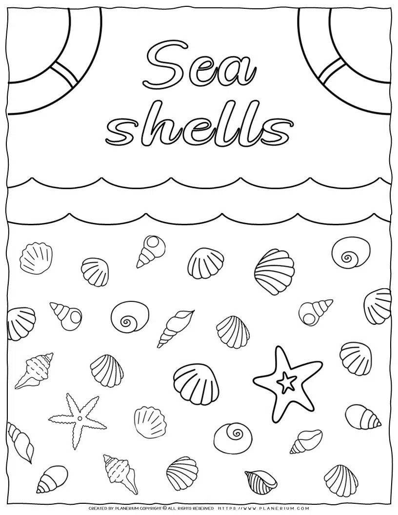 Sea shells coloring page